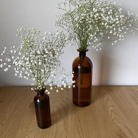 Olavi C Апартаменты *