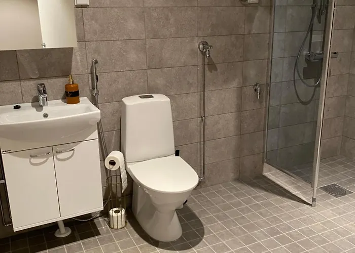 Olavi C شقة سافونلينّا